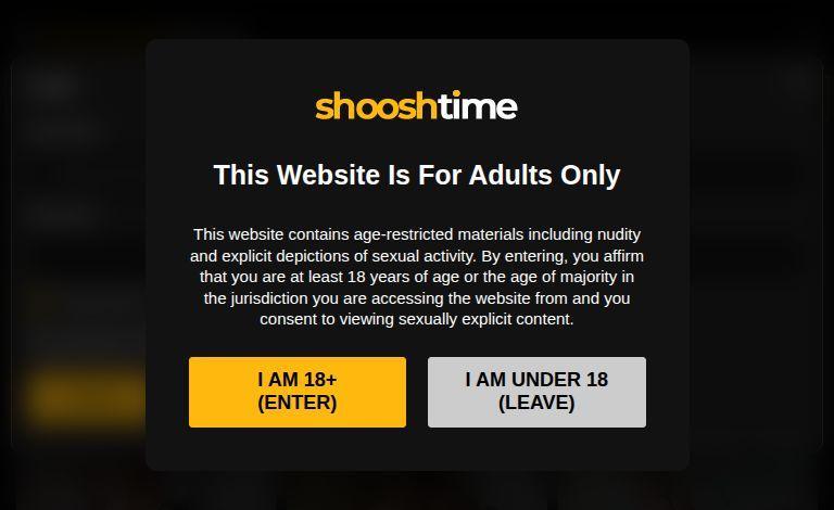 How to Get Traffic from ShooshTime: Tips for Webmasters pornpager